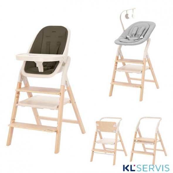 Стульчик для кормления Carrello Ergo 4в1 CRL-16701