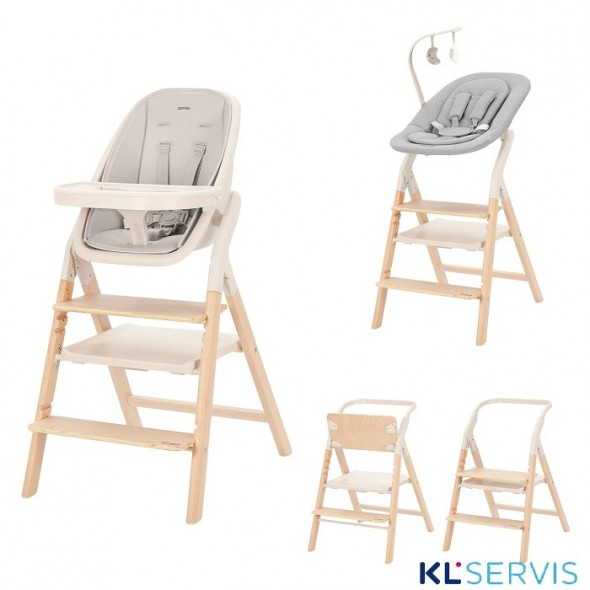Стульчик для кормления Carrello Ergo 4в1 CRL-16701