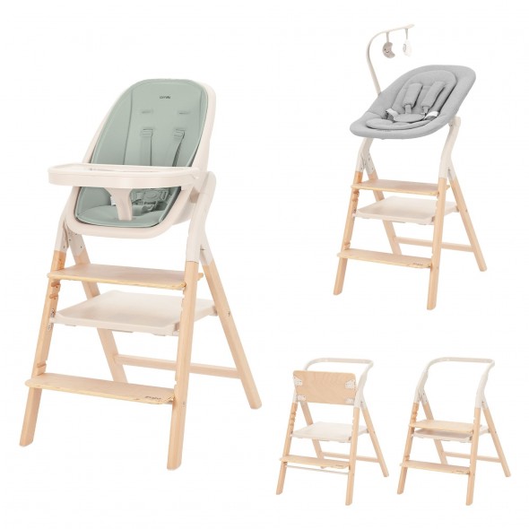 Стульчик для кормления Carrello Ergo 4в1 CRL-16701