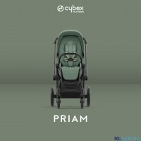 Коляска 2 в 1 Cybex Priam IV шасси Matt Black