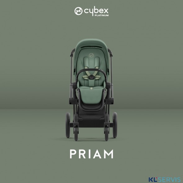 Коляска 2 в 1 Cybex Priam IV шасси Matt Black