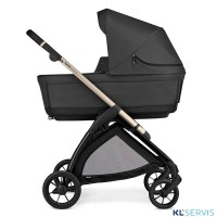 Коляска 3 в 1 Inglesina Electa NEW 2025, System Quattro (Darwin)
