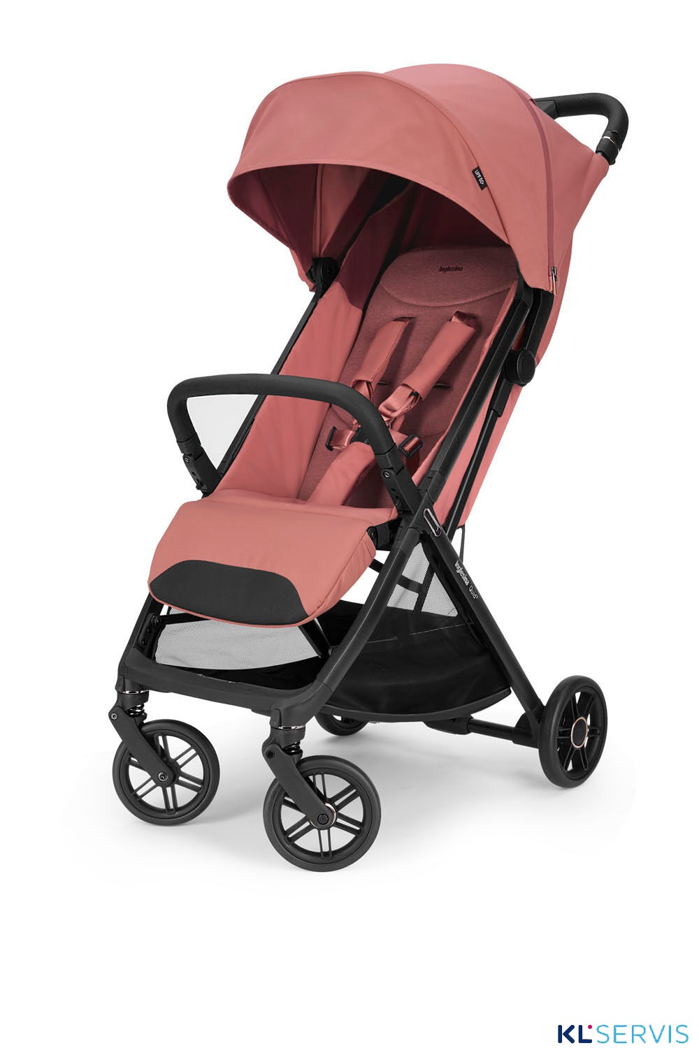 Aurora Pink
