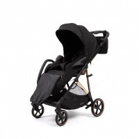 Коляска прогулочная Peppy Amici LX