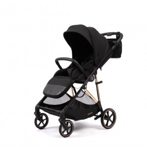 Коляска прогулочная Peppy Amici LX