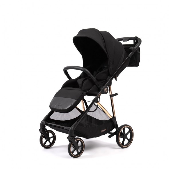 Коляска прогулочная Peppy Amici LX