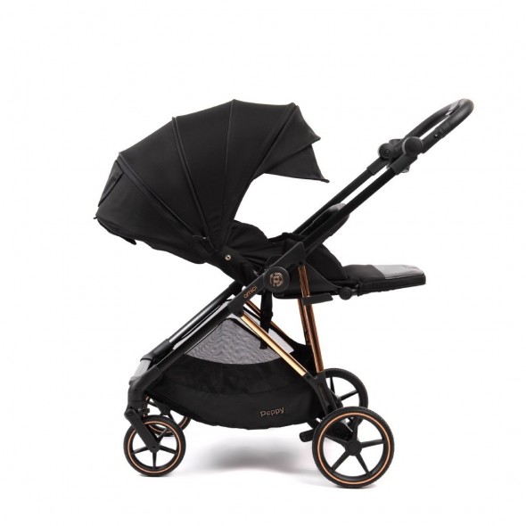 Коляска прогулочная Peppy Amici LX