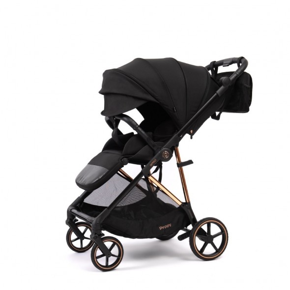 Коляска прогулочная Peppy Amici LX