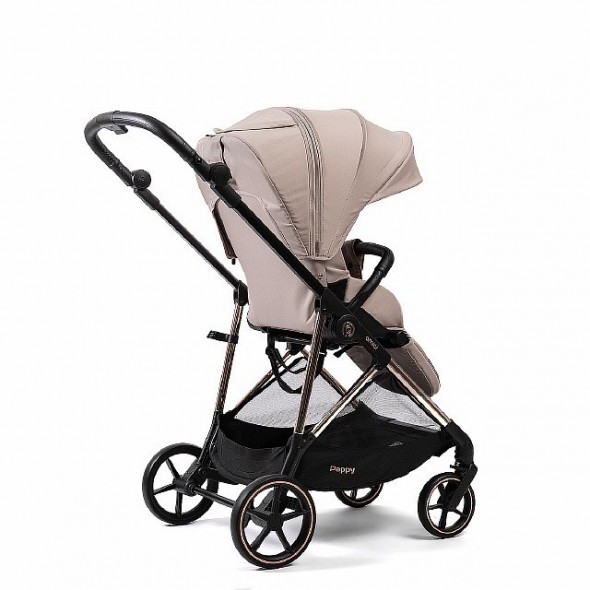 Коляска прогулочная Peppy Amici LX