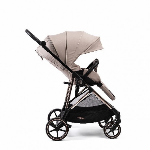 Коляска прогулочная Peppy Amici LX