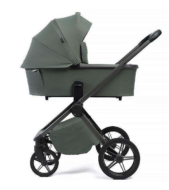 Oliva Green