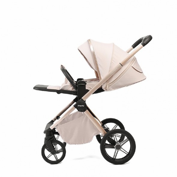 Коляска 2 в 1 Peppy Monaco Plus