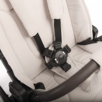Коляска 2 в 1 Peppy Soho