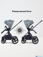 Коляска Rant Falcon Soft Therm 2 в 1 RA111 