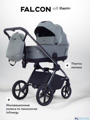 Коляска Rant Falcon Soft Therm 2 в 1 RA111 