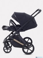 КОЛЯСКА 2 В 1 RANT GARDA