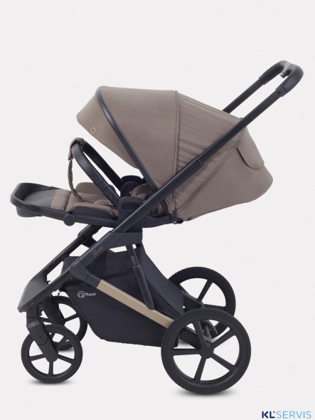 КОЛЯСКА 2 В 1 RANT GARDA