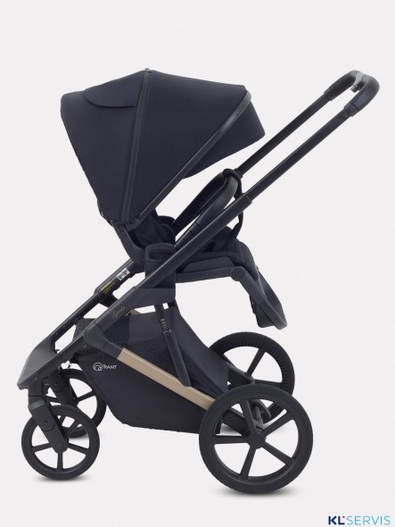 КОЛЯСКА 2 В 1 RANT GARDA