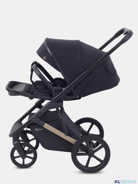 КОЛЯСКА 2 В 1 RANT GARDA