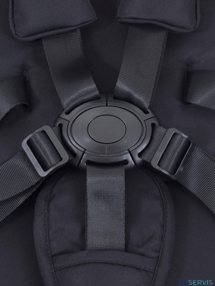 КОЛЯСКА 2 В 1 RANT GARDA