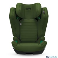 Автокресло Recaro Axion 1 (15-36 кг)