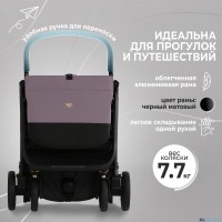 Прогулочная коляска Sweet Baby Colibri