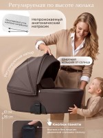 Коляска 2в1 SBL Dolce 2026 