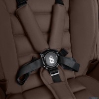 Коляска 2в1 SBL Dolce 2026 