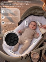 Коляска 2в1 SBL Dolce 2026 