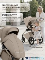 Коляска 2в1 SBL Elegante Therma (Colore) 