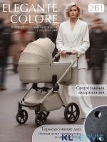 Коляска 2в1 SBL Elegante Therma (Colore) 