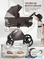 Коляска 2в1 SBL Elegante Therma (Colore) 