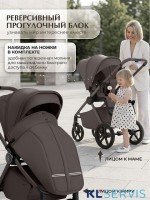 Коляска 2в1 SBL Elegante Therma (Colore) 