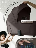 Коляска 2в1 SBL Elegante Therma (Colore) 