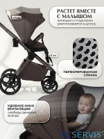 Коляска 2в1 SBL Elegante Therma (Colore) 