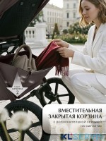 Коляска 2в1 SBL Elegante Therma (Colore) 