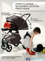Коляска 2в1 SBL Elegante Therma (Colore) 
