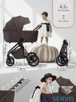 Коляска 2в1 SBL Elegante Therma (Colore) 