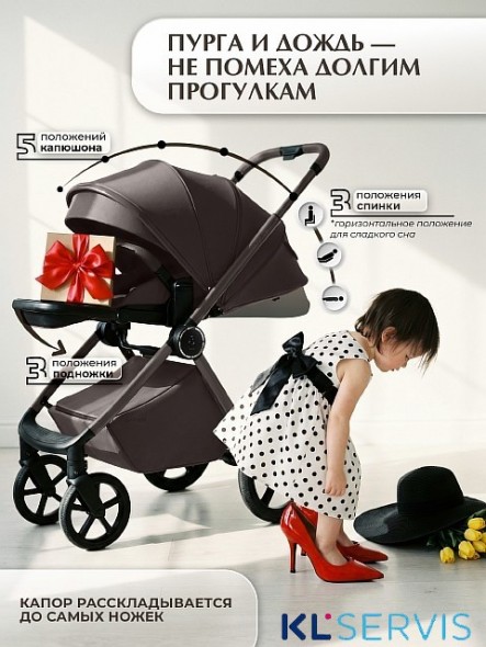 Коляска 2в1 SBL Elegante Therma (Colore) 