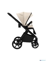 Коляска 2в1 SBL Elegante Therma (Colore) 