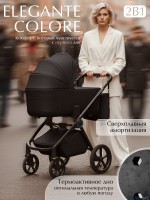Коляска 2в1 SBL Elegante Therma (Colore) 