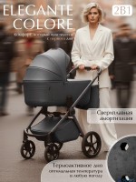 Коляска 2в1 SBL Elegante Therma (Colore) 