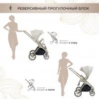 Коляска 2в1 Sweet Baby Elegante Chrome/GL