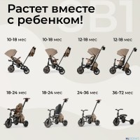 Велосипед трехколесный Qplay T70 Comfo Max 