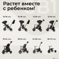 Велосипед трехколесный Qplay T70 Comfo Max 