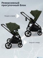Коляска 3в1 SBL Elegante Therma