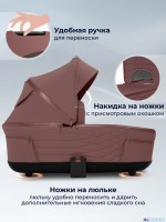 Коляска 3в1 SBL Elegante Therma