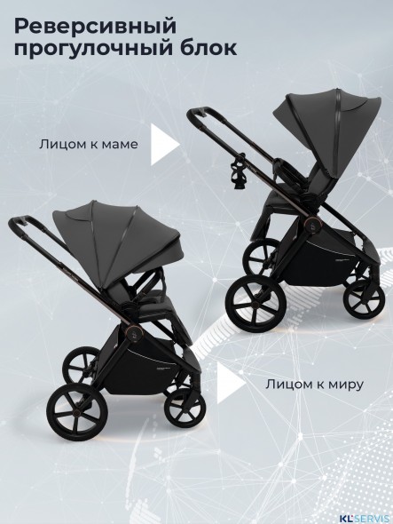 Коляска 3в1 SBL Elegante Therma